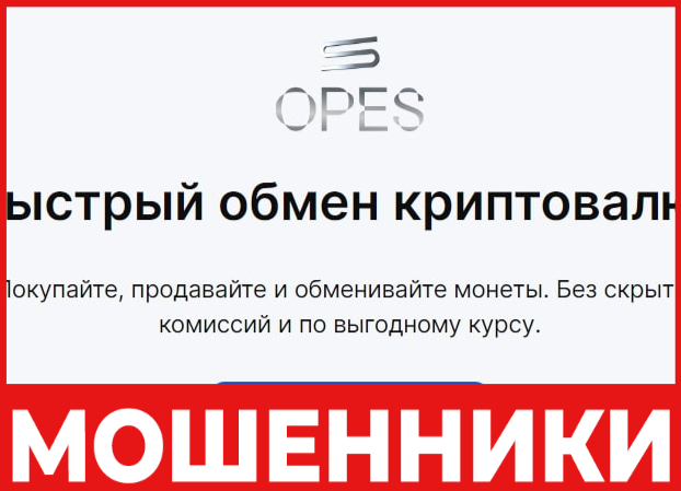 Opes Holding лицевая сторона скрин