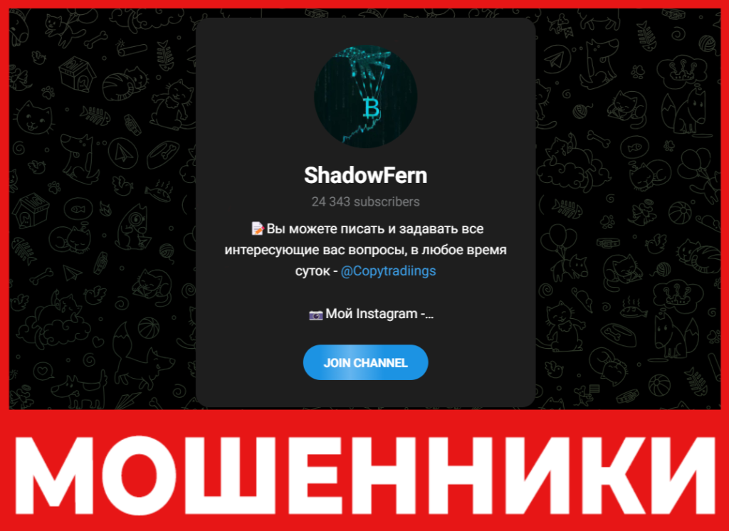 ShadowFern лицевая сторона скрин